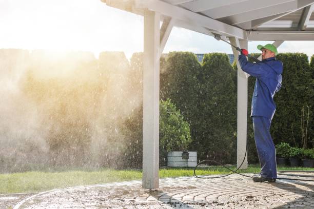 Best Pool Deck Cleaning  in Adelphi, MD