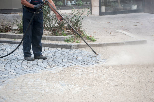 Best Concrete Sealing  in Adelphi, MD