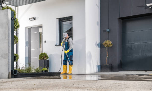 Best House Exterior Washing  in Adelphi, MD